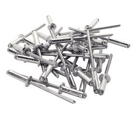 Rapid 100 x Standard Rivets (4.8 x 16mm) Builders | Tools and Machinery ...