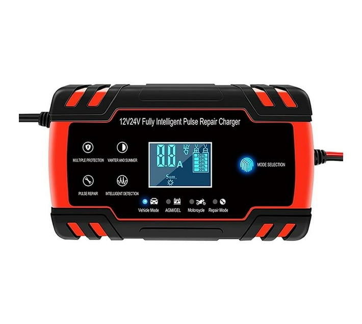 Someone’s in a Makro 12v8a / 24v4a Pulse Repair Battery Charger Mood