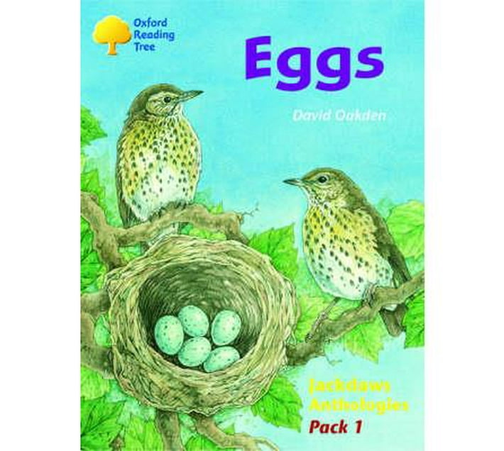Oxford Reading Tree Levels 811 Jackdaws Pack 1 (6 Books, 1 of Each