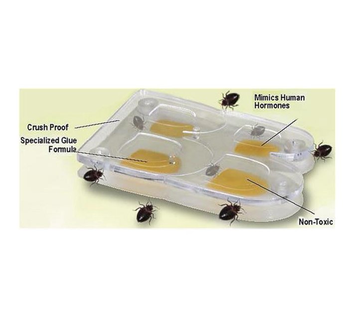 Someone’s in a Makro Buggy Beds PETS Flea & Tick Glue Traps Mood