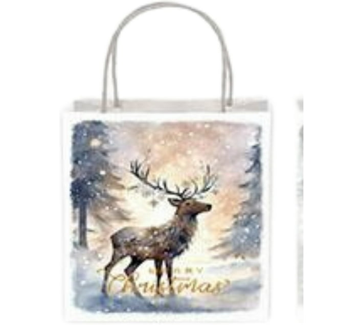 Generic Printed Paper Party Bag For Christmas Makro