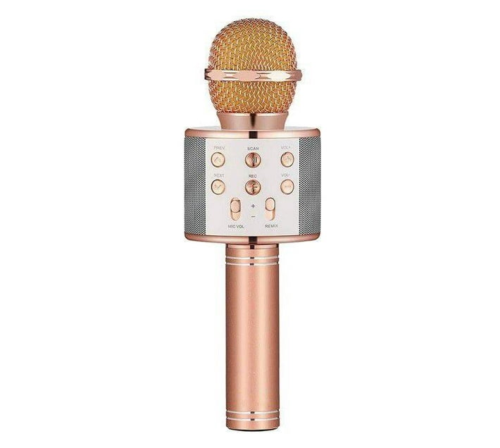 Someone’s in a Makro Wireless Portable Karaoke Microphone Mood