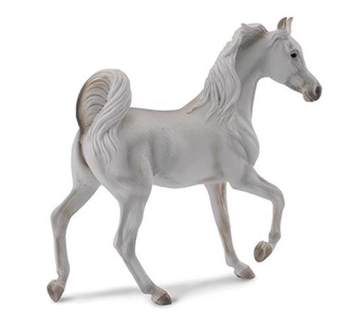 Someone’s in a Makro HORSESARABIAN MARE GREYXL Mood