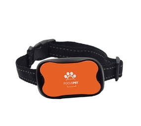 Focuspet dog outlet training collar