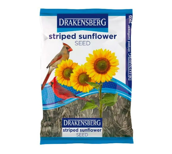 Someone’s in a Makro Drakensberg Blue Bag Sunflower Striped 2Kg Mood