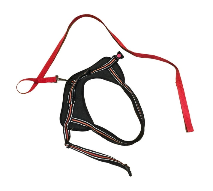 Someone’s in a Makro Killer Deals Adjustable NoPull NoChoke Dog