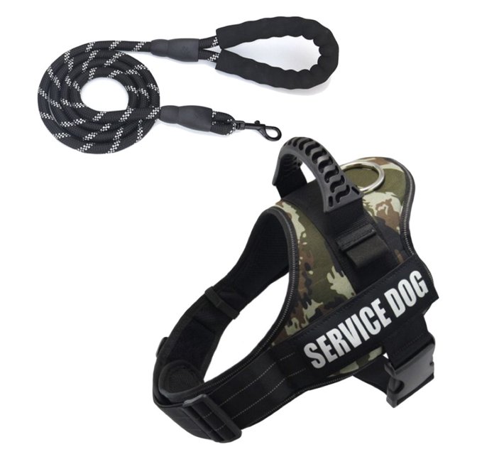 Someone’s in a Makro Pet Harness Service Dog & Lead Green L Mood