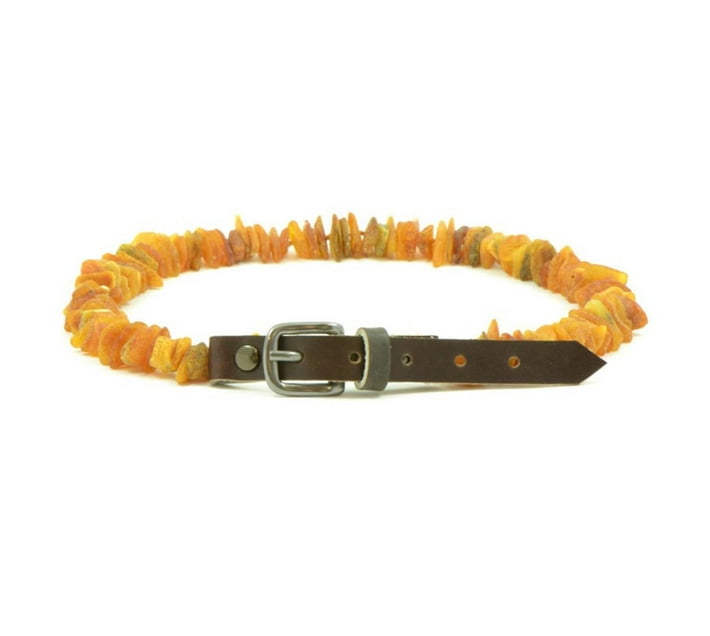 Pet Collars Amber 3035 cm Natural way to keep tick and fleas off