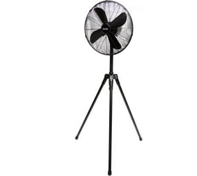 BORN FREE 7-50-40TSF A++ 19 mm 4 Blade Pedestal Fan (black, Pack of 1 ...