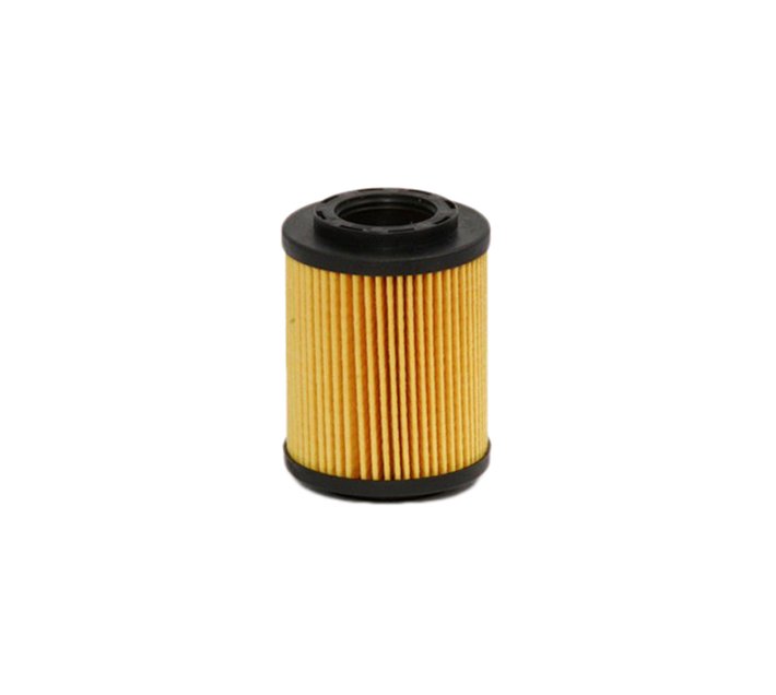 FRAM OIL FILTER CH9305ECO Makro