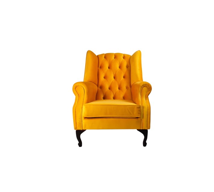 Someone’s in a Makro Wingback Chair Yellow Mood