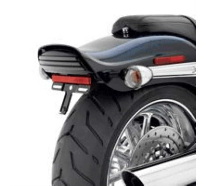 Someone’s in a Makro Sissy Bar Auxiliary Brake and Tail Lamp Mood