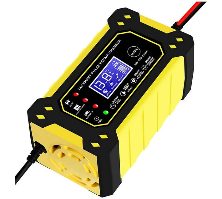 12V Intelligent Pulse Charger with LCD Q Radial (Pack of 1) Makro