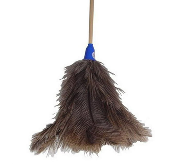 Addis Feather Duster Extendable Handle Makro