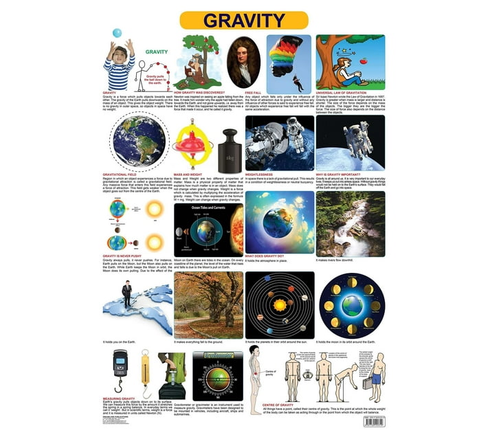 Gravity Wall Chart Science Chart Both Side Hard Laminated Size 48 X 73 Cm Poster Makro 6684