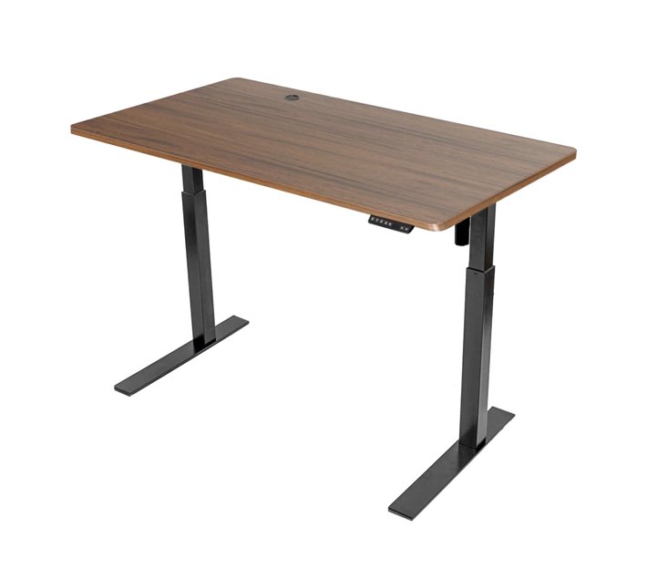 Someone’s in a Makro Height Adjustable Electric Standing Desk with Desk