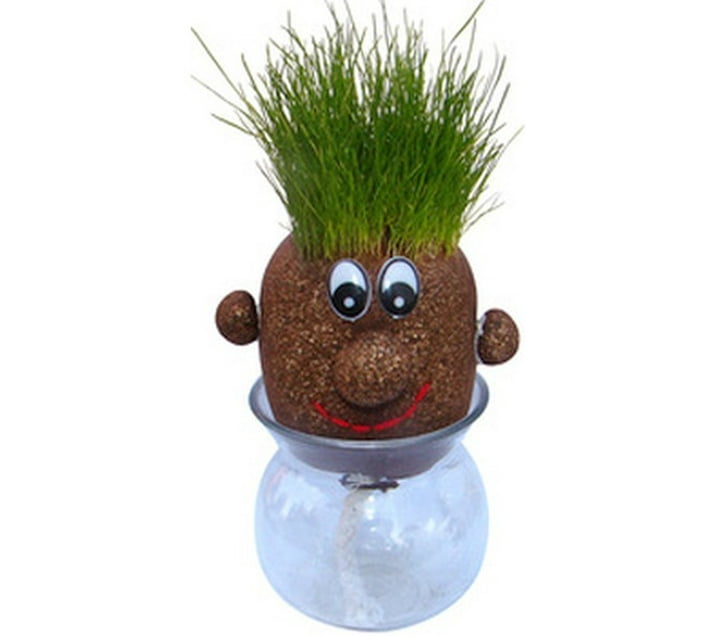 Umlozi Grass Head Seed (10 g) Makro