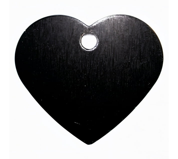 Exclusive Products 96495981 Dog & Cat Everyday Collar (Large, Black