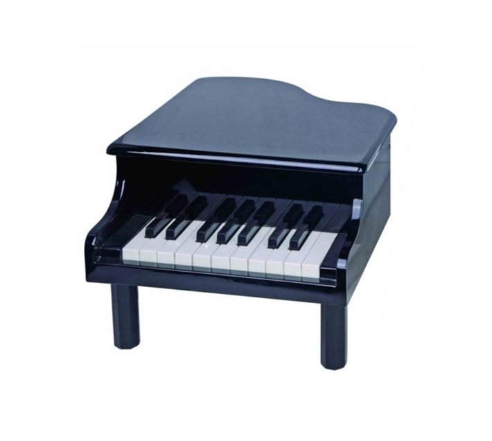Someone’s in a Makro My First Toy Piano (Black) 18 Key Mood