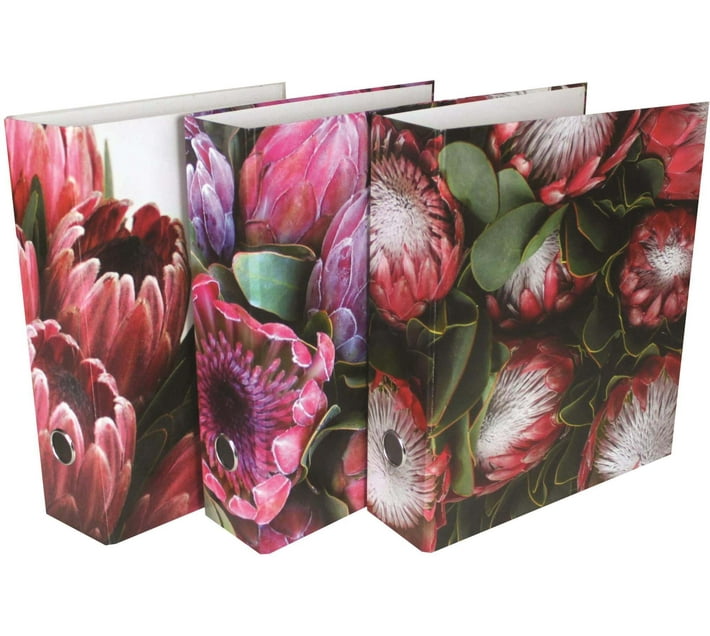 Files Board Lever Arch Folder (Set of 3, Multicolour) Makro