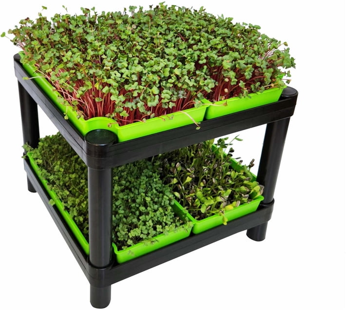 ModUShelf Germination Tray Indoor Plant Container Set (Pack of 1