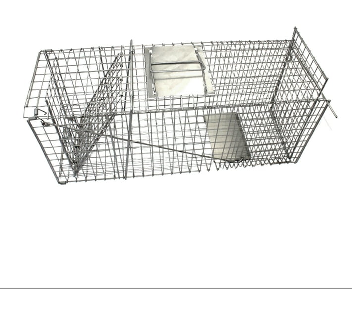 Investify Humane Foldable 66cm Catch and Release Rodent Rat and Mouse