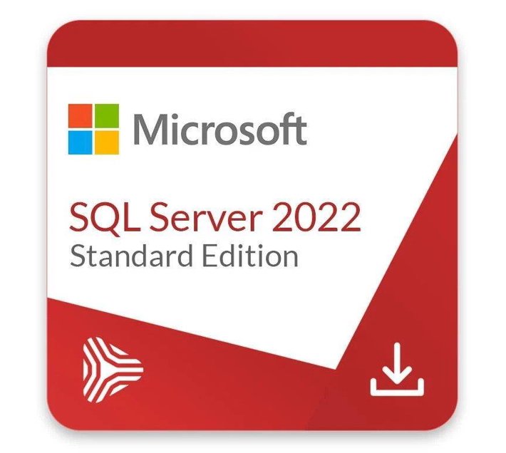 Someone’s in a Makro Microsoft SQL Server 2022 Standard - Digital ...