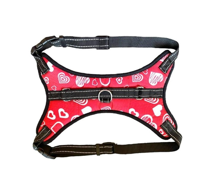 Kong best sale harness xs