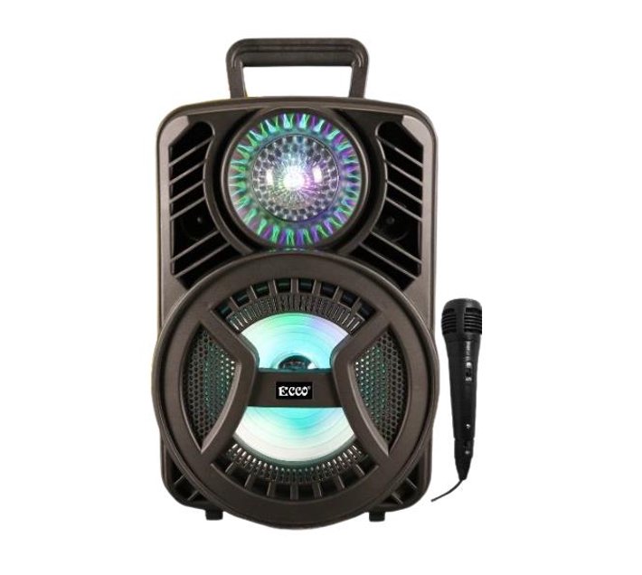 Someone’s in a Makro MV88M9 ECCO 8" Karaoke Party Speaker Mood