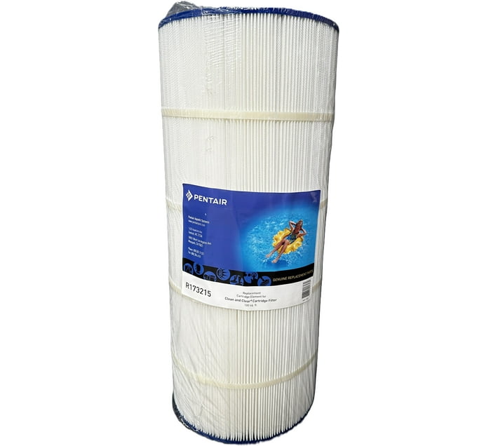 Pentair Cartridge Filter Pump (White) Makro