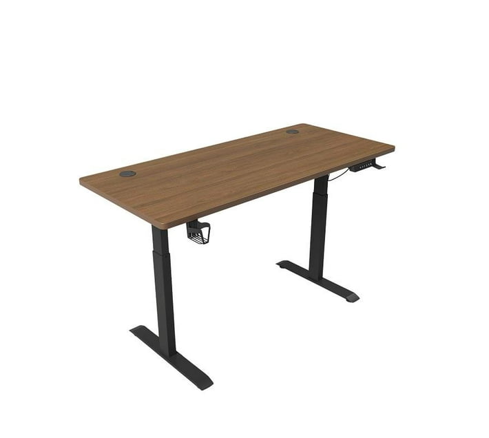 Someone’s in a Makro ERGONOMIC 140cm Single Motor Electric Adjustable