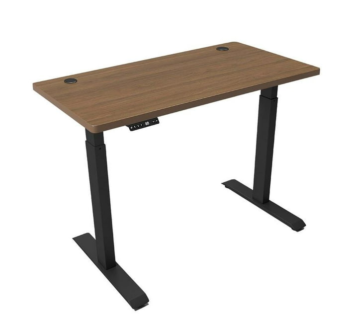 Someone’s in a Makro Ergonomic 160cm Dual Motor Electric Adjustable