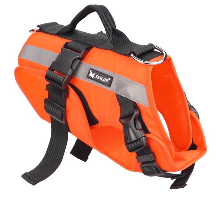 Someone’s in a Makro Pet Safety Swimming Vest Life Jacket Harness with