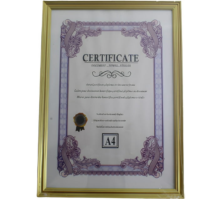 3Clicks Acrylic Wall Photo Frame (Gold, 1 Photo(s), A4 Gold Plated) Makro