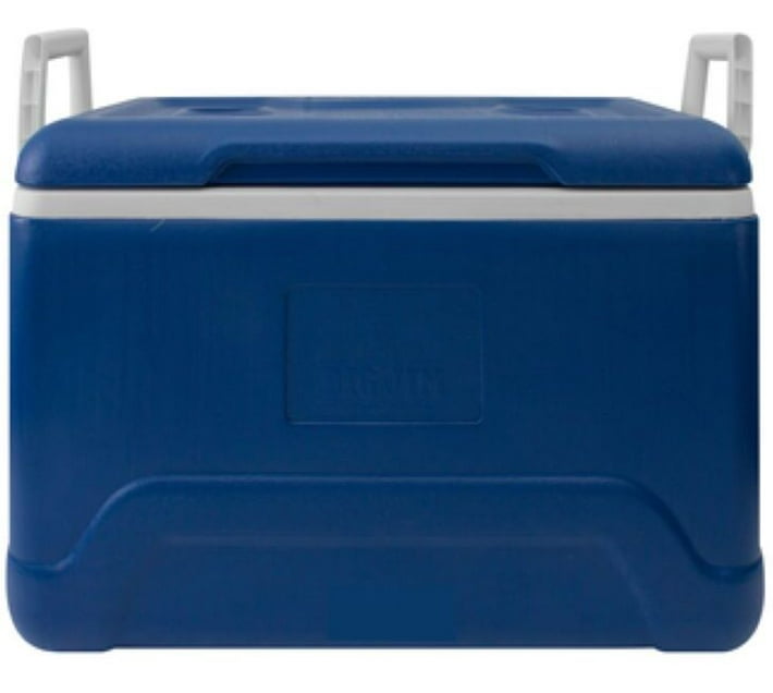 Buy BIG JIM 50L Cooler Box Cooler Bag (BLUE) in Bulk | Makro Business