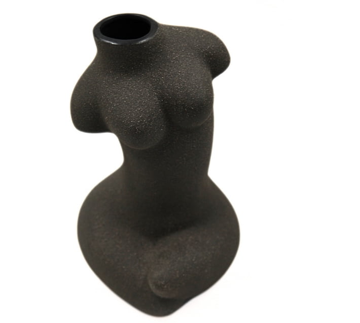 Buy Danny Home Graceful Contour Vase Ceramic Vase (26 cm, Black) in ...