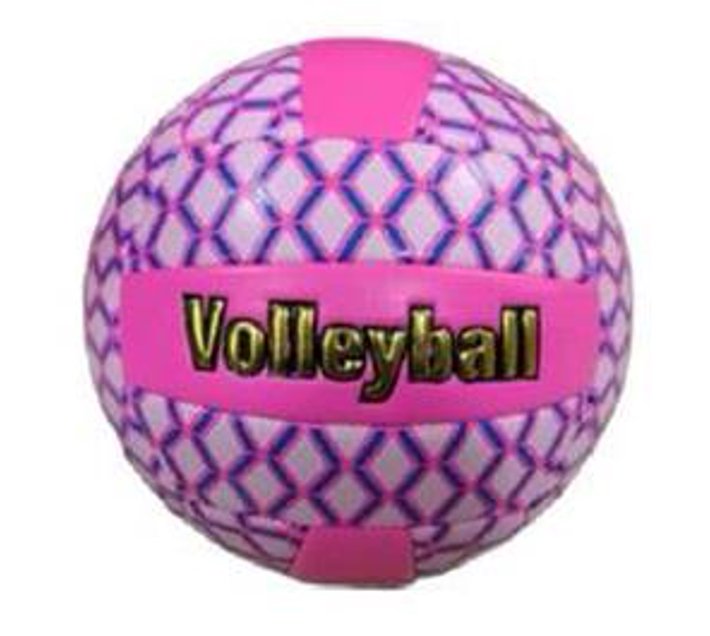 Someone’s in a Makro Ebagam Regular Size Volleyball Pink Mood
