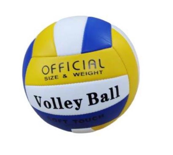 Someone’s in a Makro Official Size and Weight Regular Size Volleyball