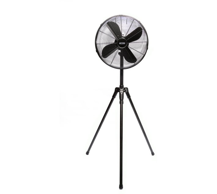 BORN FREE 7-50-40TSF A++ 19 mm 4 Blade Pedestal Fan (black, Pack of 1 ...