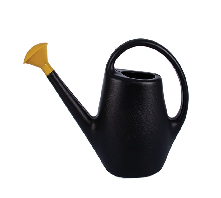 WateringCan Plastic 10L with Rose Makro