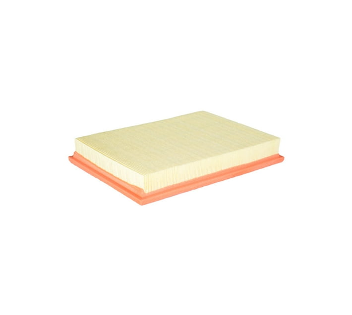 Someone’s in a Makro FRAM AIR FILTER CA8817 Mood