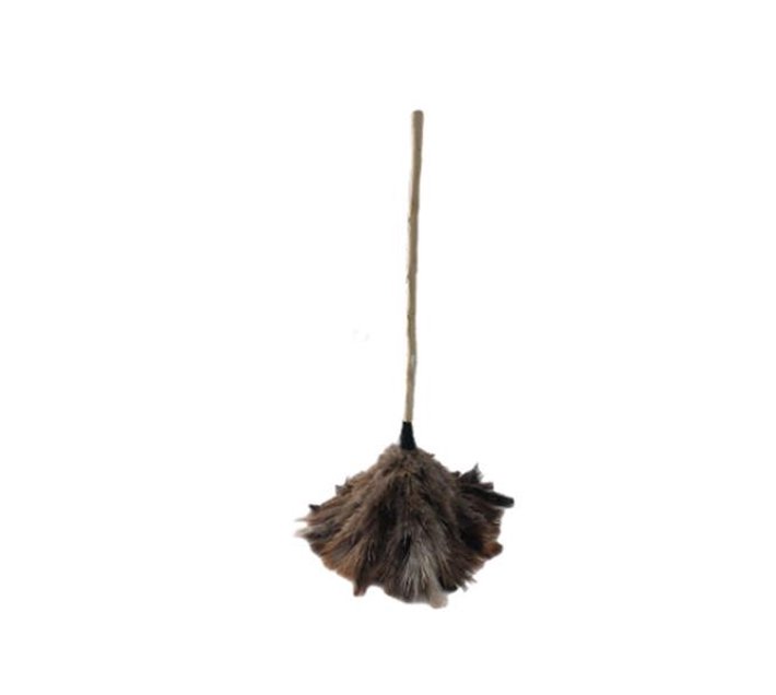 Feather Duster Long Makro