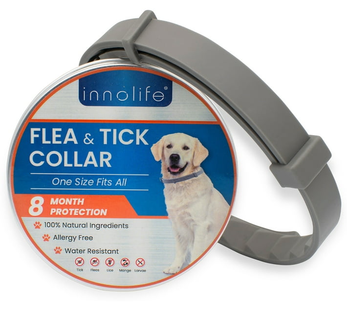 Innolife Dogflea Dog Anti-tick Collar (medium, Grey) 