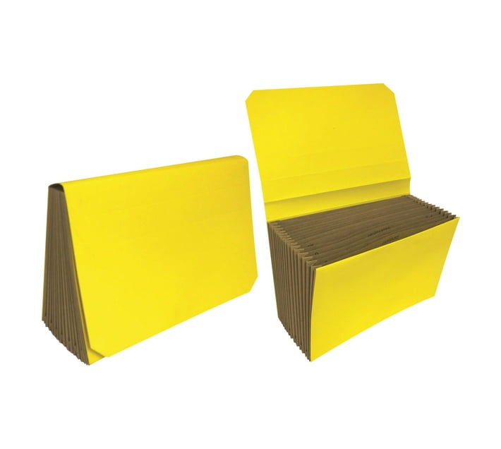 Someone’s in a Makro Files 2 Pack Executive Concertina File 16