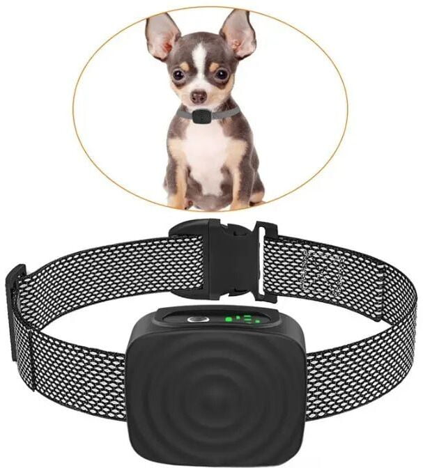 bark collar cruel