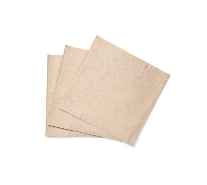 3-Ply Recycled Paper Serviettes - 60 Pieces - Eco-Friendly | Makro