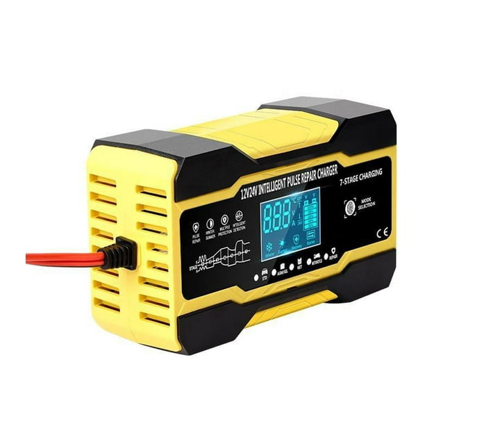 Someone’s in a Makro Rjtianye 12v 10A24v 5A Smart Pulse Repair Car