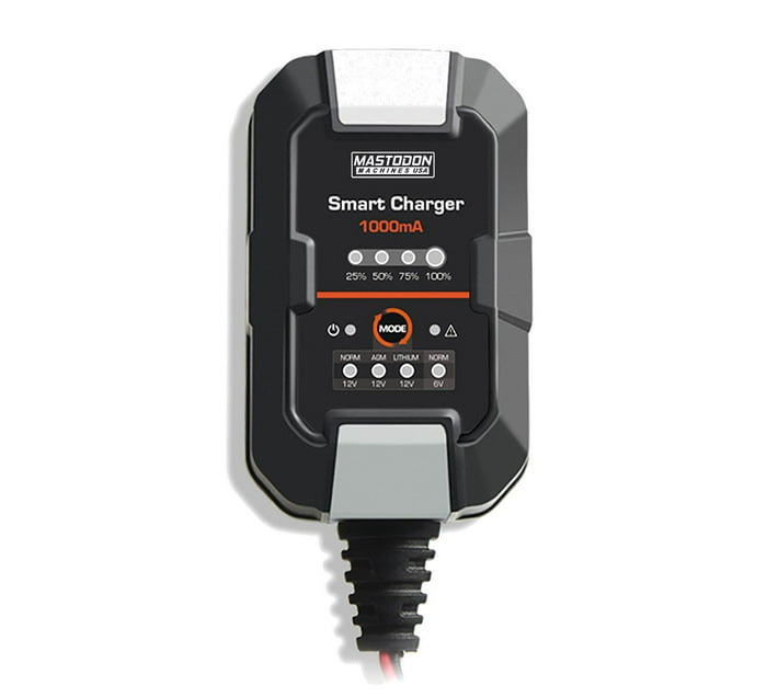 Someone’s in a Makro F1000 1Ah Intelligent Battery Charger Mood