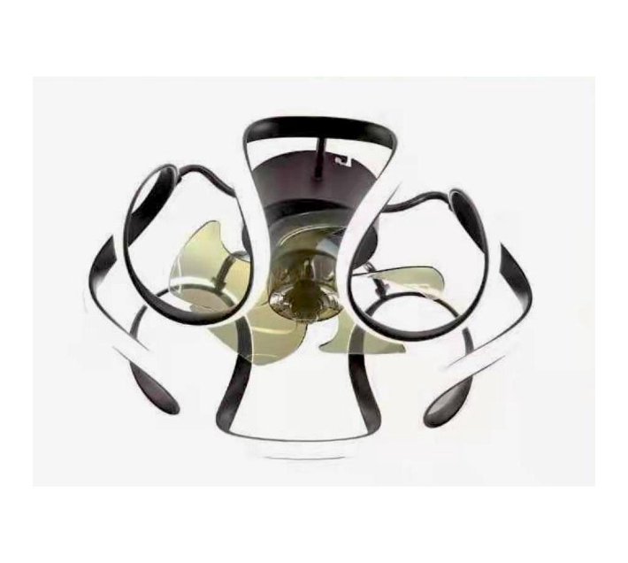 Someone’s in a Makro Modern Black Cage Ceiling Fan LED Light With