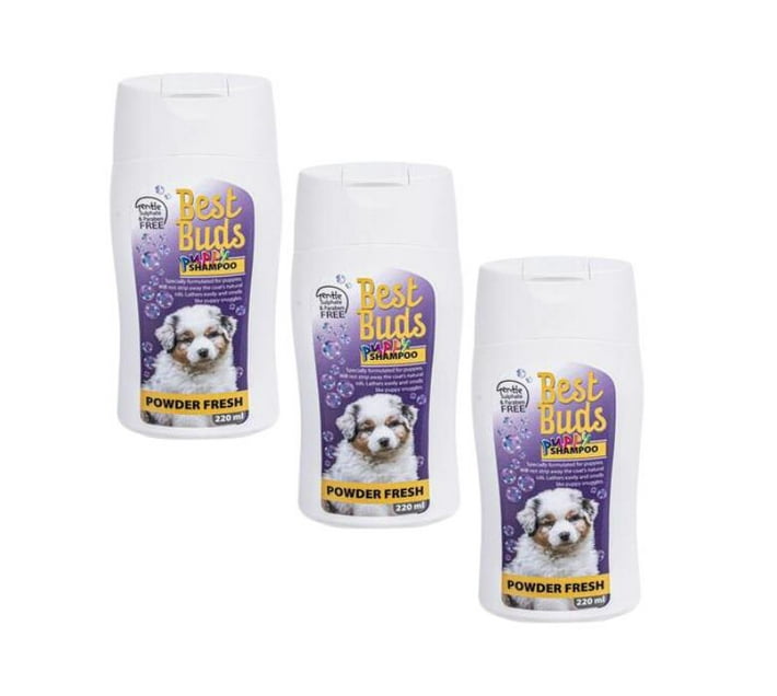 Someone’s in a Makro Best buds puppy shampoo 220ml 3 bottles Pack of